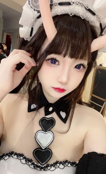 铁血丹心电视剧2024免费观看
