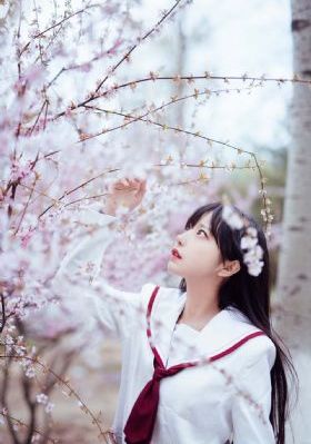 喜爱夜蒲2完整